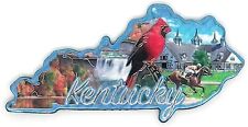 Kentucky State Outline Foil Fridge Magnet picture