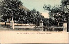 Gibraltar Alameda Gardens Antique UDB Germany Postcard UNP Unused picture