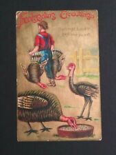 Thanksgiving Greetings Turkey c1900s Embossed Antique 301G Postcard picture