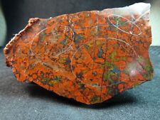 MORGAN HILL POPPY JASPER THICK SLAB OLD STOCK 72.00 GRAMS or 3 OUNCES picture