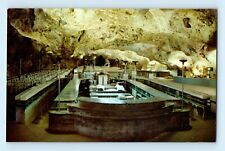 New Mexico Carlsbad Caverns National Park Lunchroom Restaurant Postcard C4 picture