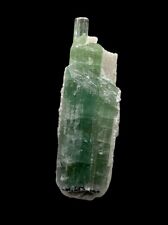 Bi-Color Blue Green Tourmaline Crystal : Mt Mica Mine. Oxford County, Maine 🇺🇸 picture