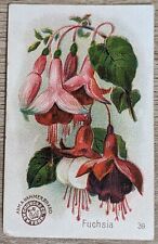 1895 AH800 Church & Co Arm & Hammer Beautiful Flowers Fuchsia Trade Card #39 picture