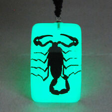 REAL BLACK SCORPION GLOW LUCITE INSECT PENDANT NECKLACE JEWELRY TAXIDERMY GIFT picture