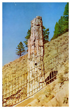 Mammoth WY Wyoming Petrified Tree Tower Fall-Mammoth Highway Chrome Postcard picture