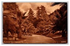 Oakland CA California Piedmont Park Sepia Tone Divided Back Postcard picture