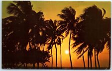 Postcard - A Magnificent Florida Sunrise picture