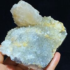 465g Natural Shell Calcite & White Quartz Crystal Mineral Specimen picture