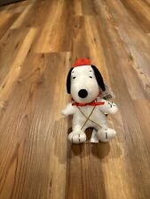 peanuts whitmans valentines day devil snoopy Plush 2012 Vintage New With Tags picture