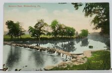 Bloomsburg Pa Boone's Dam 1910 to Benton Pa Postcard M1 picture