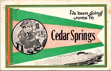 PC Pennant Flag Travel Advertising Greetings Tourism Cedar Springs Michigan picture