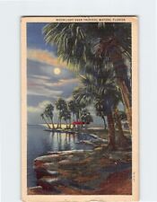 Postcard Moonlight over Tropical Waters Florida USA North America picture