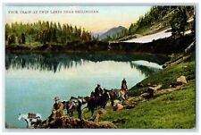 1907 Pack Train Twin Lakes Cowboy Horses Bellingham Washington Vintage Postcard picture