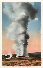 Postcard Giant Geyser, 250 Ft., Yellowstone National Park, Haynes Photo picture