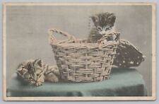 Animal~Pair Of Striped Kittens Escape Lidded Wicker Basket To Explore~1910 PC picture