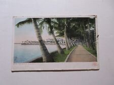 Postcard- The Walk At Palm Beach, Florida Posted 1900's picture