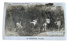 RPPC Windsor Canada Harvesting Our Wheat Exaggerated Tall Tale Postcard C9 picture