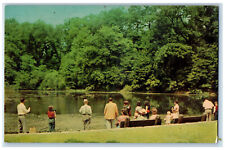 c1950's Lily Pond (Gold Fish Pond) Mill Creek Park Youngstown Ohio OH Postcard picture