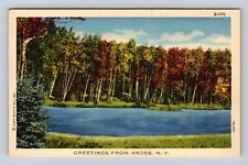 Andes NY-New York, General Greetings, Fall at Lake, Vintage Souvenir Postcard picture