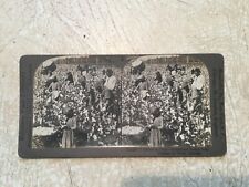 RARE AFRICAN AMERICAN Men Women Kids Pick Cotton STEREO CARD Keystone View Comp picture