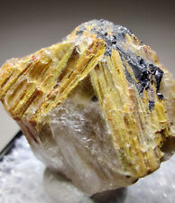 Golden Rutile bladed crystals, Hematite in Quartz. Bahia, Brazil. 3 cm. picture