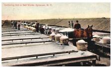 GATHERING SALT AT SALT WORKS,SYRACUSE,NY.VTG 1912 POSTCARD*D8 picture