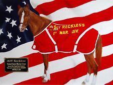 Sgt. Reckless - America's War Horse - Signed 12