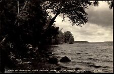 RPPC Postcard MI Lake Gogebic Michigan Shoreline c1950 LL Cook C8 picture