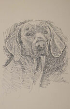 ORIGINAL WEIMARANER DOG ART Lithograph #34 Kline adds your dogs name free. GIFT picture