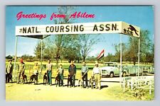 Abilene KS-Kansas, National Coursing Park, Greyhounds, Vintage Postcard picture