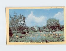 Postcard Art Museum & Gardens Allentown Pennsylvania USA picture