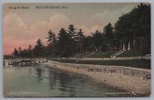 Along The Beach Wequetonsing Michigan Hand Colored Albertype Postcard picture