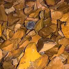 3000 Carat Lots of (SMALL) Yellow Jasper Rough - Plus a FREE Faceted Gemstone picture
