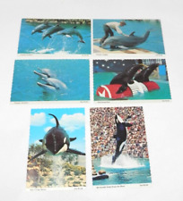 Lot of 6 Vintage Sea World Postcards 6x4