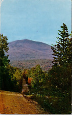 Mt Abram From Route 142 Mt Blue State Park Weld Maine ME Postcard L66 picture