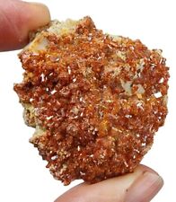 Vanadinite Natural Crystal Specimen Morocco 39.2 grams picture