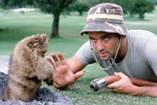 CADDYSHACK BILL MURRAY CLASSIC WITH HOSE LOOKING AT GOPHER HOLE 24x36 Poster picture