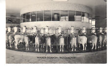Postcard:  Walker-Gordon Rotolactor - Cow Milking / Cleaning revolving platform picture