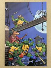 TMNT SATURDAY MORNING ADVENTURES CONTINUED #1 (IDW 2023) 1:25 Variant * NM picture