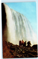 American Falls Vintage Postcard F32 picture