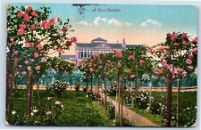 Postcard - A Rose Garden c1917 picture