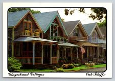 Gingerbread Cottages Martha's Vineyard Massachusetts Vintage Unposted Postcard picture
