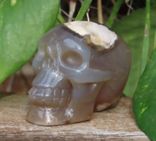 Unique Stunning Polished Flower Agate Crystal Skull 65mm Long 212Grams 50mm Tall picture