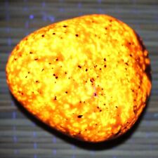 BRIGHT Yooperlite Rock from Lake Superior Fluorescent Sodalite Glowing Stone Y5 picture
