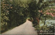 Bridgeton NJ New Jersey Sunset Lake City Park 1906 PM - A21 picture