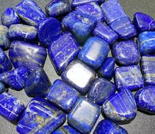 Lapis Lazuli (1/2 lb) 8 oz Bulk Wholesale Lot Half Pound Tumbled Polished Stones picture