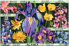 Postcard - Wildflowers of Alaska picture