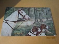 Antique Vintage Postcard Noble Pets 5529 Horse & hunting dogs 1908 1c stamp  picture