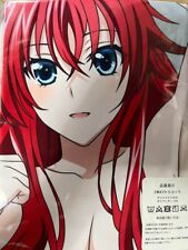 High School DxD Rias Gremory Hugging Pillow Cover 160 × 50cm Japan New picture