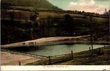 1900's The Reservoir Dansville N.Y.  Divided Back Postcard 8J picture